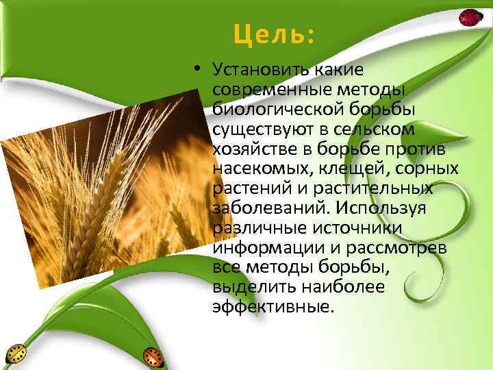 Цель: • Установить какие современные методы биологической борьбы существуют в сельском хозяйстве в борьбе