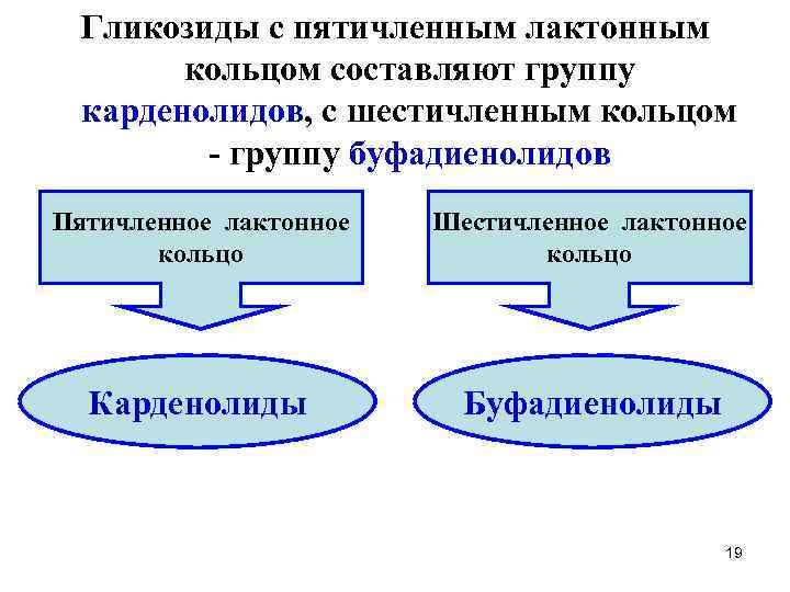 Гликозиды с пятичленным лактонным кольцом составляют группу карденолидов, с шестичленным кольцом - группу буфадиенолидов