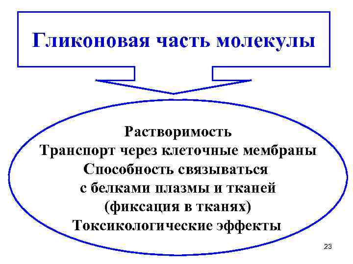 Гликоновая часть молекулы Растворимость Транспорт через клеточные мембраны Способность связываться с белками плазмы и