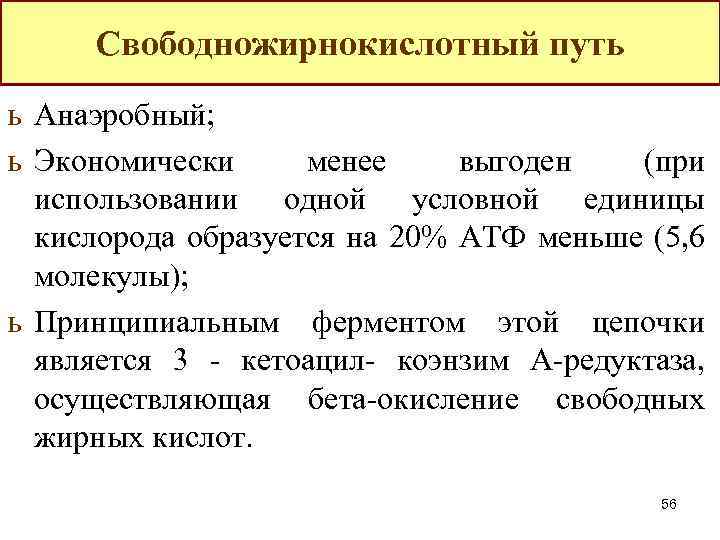 Свободножирнокислотный путь ь Анаэробный; ь Экономически менее выгоден (при использовании одной условной единицы кислорода