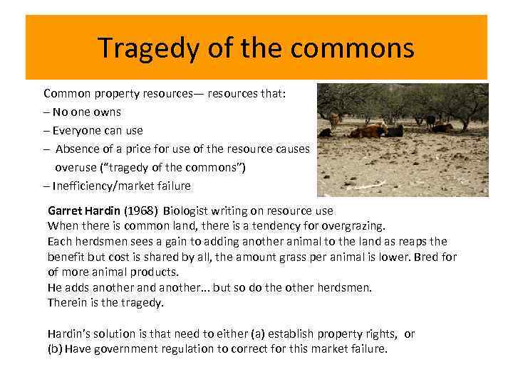 Tragedy of the commons Common property resources— resources that: – No one owns –