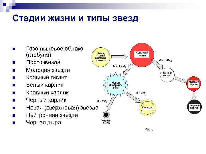 Стадии жизни и типы звезд n n n n n Газо-пылевое облако (глобула) Протозвезда