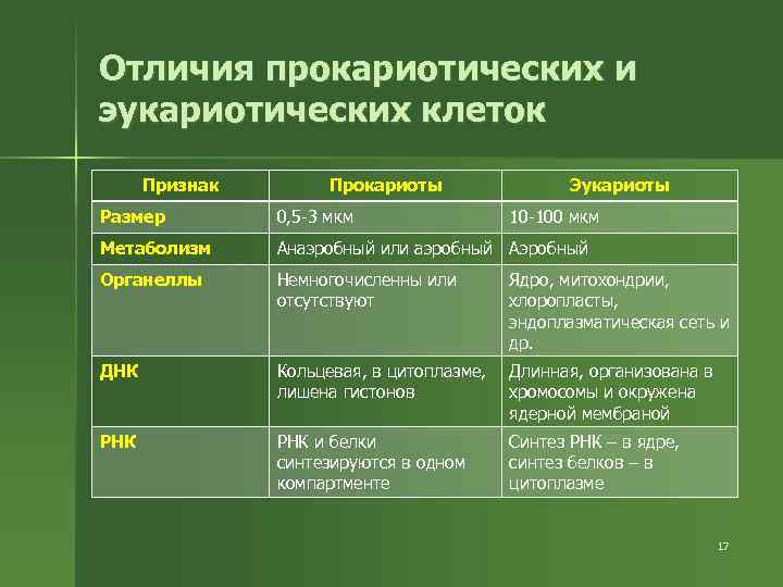 Отличия прокариотических и эукариотических клеток Признак Прокариоты Эукариоты Размер 0, 5 -3 мкм 10