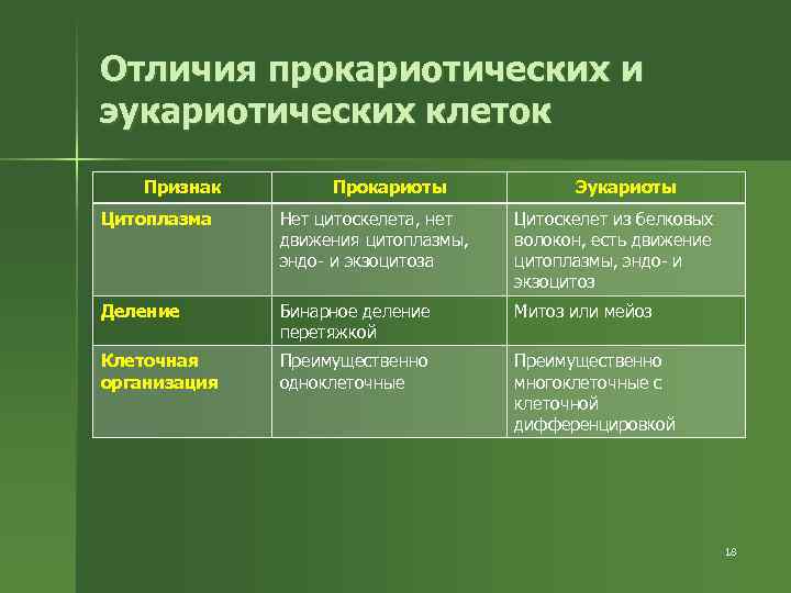 Отличия прокариотических и эукариотических клеток Признак Прокариоты Эукариоты Цитоплазма Нет цитоскелета, нет движения цитоплазмы,