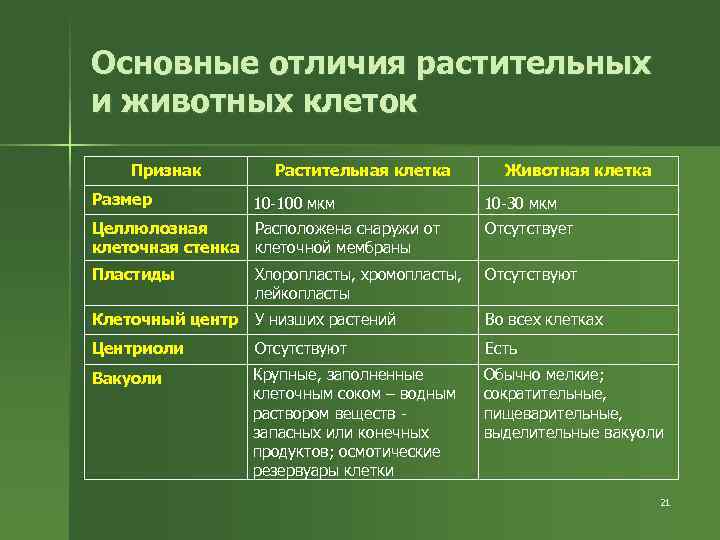 Основные отличия растительных и животных клеток Признак Размер Растительная клетка 10 -100 мкм Животная