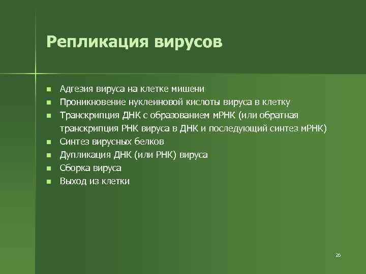 Репликация вирусов n n n n Адгезия вируса на клетке мишени Проникновение нуклеиновой кислоты