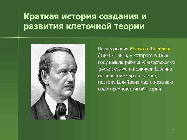 Краткая история создания и развития клеточной теории Исследования Матиаса Шлейдена (1804 - 1881), у