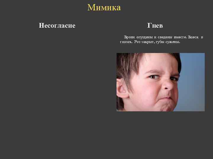 Мимика Несогласие Гнев Брови опущены и сведены вместе. Блеск в глазах. Рот закрыт, губы