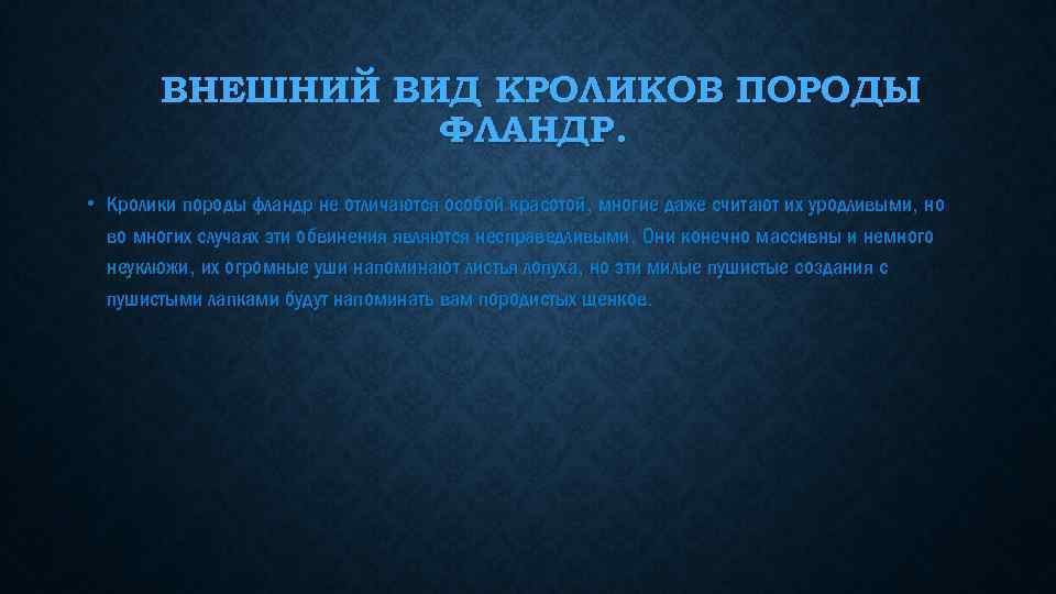 ВНЕШНИЙ ВИД КРОЛИКОВ ПОРОДЫ ФЛАНДР. • Кролики породы фландр не отличаются особой красотой, многие