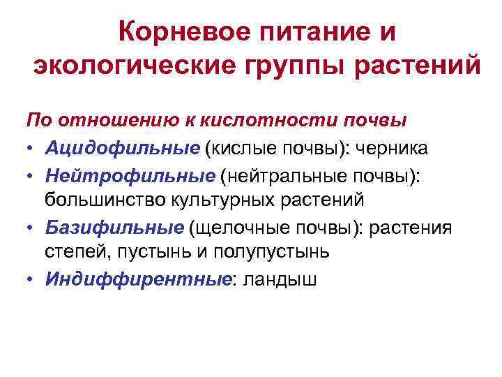 Корневое питание и экологические группы растений По отношению к кислотности почвы • Ацидофильные (кислые