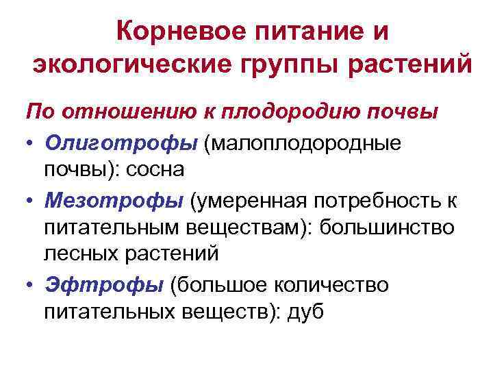 Корневое питание и экологические группы растений По отношению к плодородию почвы • Олиготрофы (малоплодородные