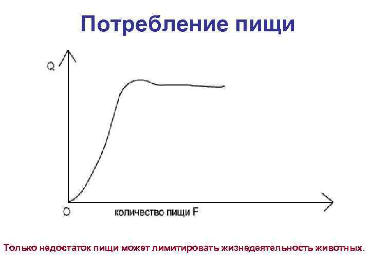 Потребление пищи Только недостаток пищи может лимитировать жизнедеятельность животных. 