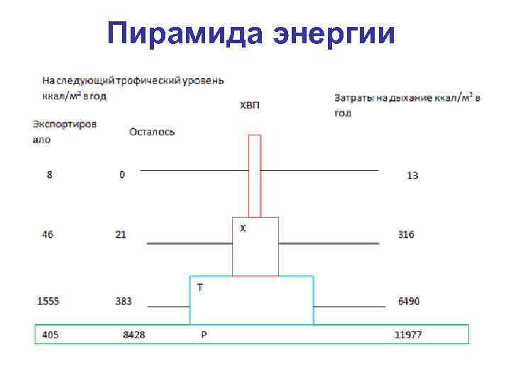 Пирамида энергии 