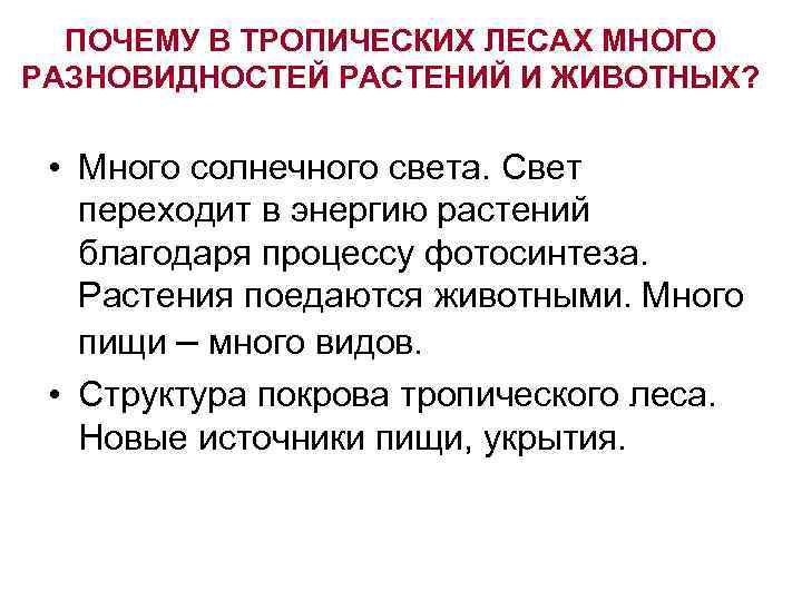 ПОЧЕМУ В ТРОПИЧЕСКИХ ЛЕСАХ МНОГО РАЗНОВИДНОСТЕЙ РАСТЕНИЙ И ЖИВОТНЫХ? • Много солнечного света. Свет