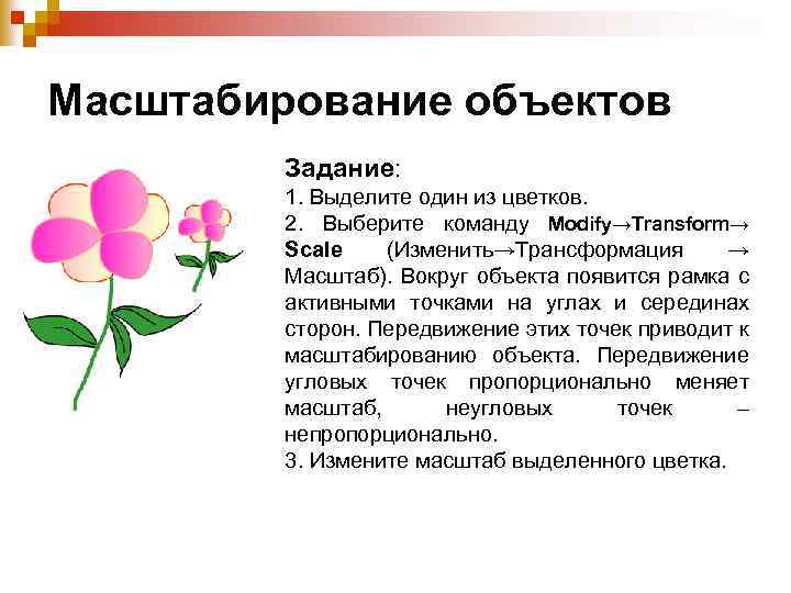 Масштабирование объектов Задание: 1. Выделите один из цветков. 2. Выберите команду Modify→Transform→ Scale (Изменить→Трансформация