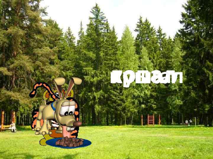топал прыгал кушал 