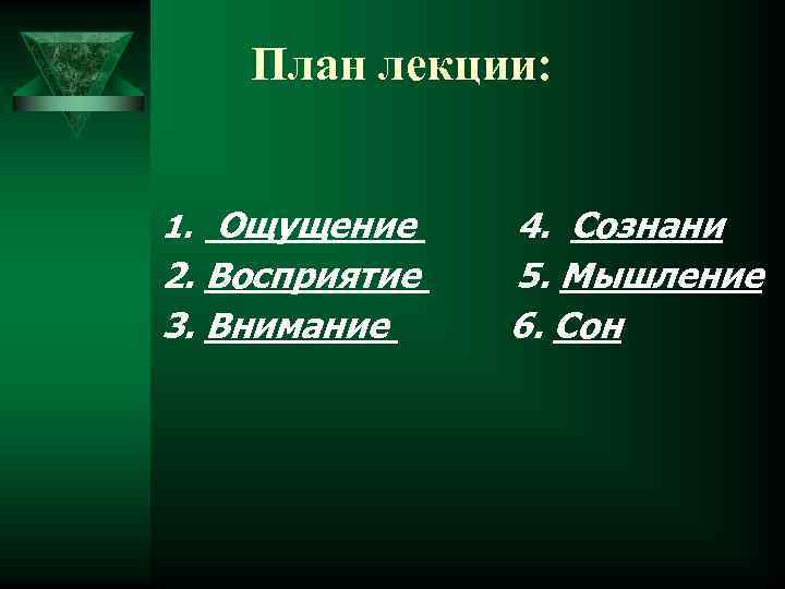 План лекции: 1. Ощущение 2. Восприятие 3. Внимание 4. Сознани 5. Мышление 6. Сон