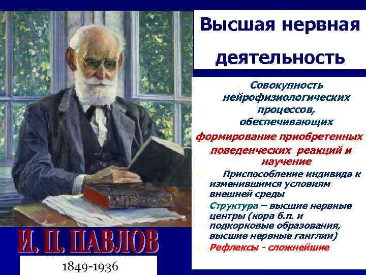 Высшая нервная деятельность Совокупность нейрофизиологических процессов, обеспечивающих формирование приобретенных поведенческих реакций и научение n