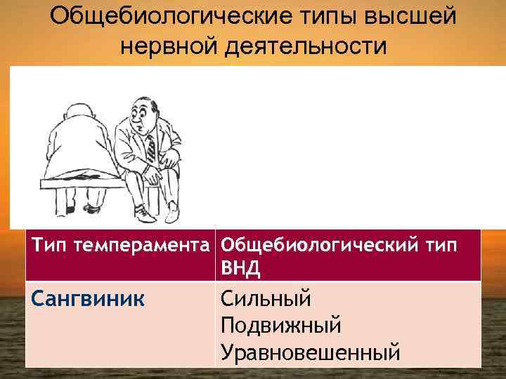 Общебиологические типы высшей нервной деятельности Тип темперамента Общебиологический тип ВНД Сангвиник Сильный Подвижный Уравновешенный