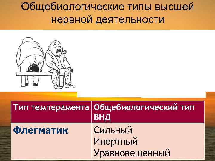 Общебиологические типы высшей нервной деятельности Тип темперамента Общебиологический тип ВНД Флегматик Сильный Инертный Уравновешенный