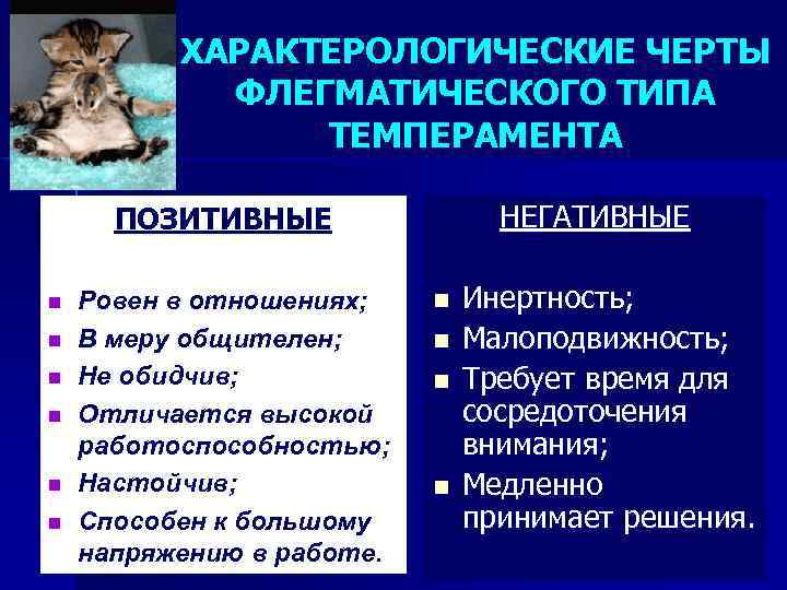 ХАРАКТЕРОЛОГИЧЕСКИЕ ЧЕРТЫ ФЛЕГМАТИЧЕСКОГО ТИПА ТЕМПЕРАМЕНТА НЕГАТИВНЫЕ ПОЗИТИВНЫЕ n n n Ровен в отношениях; В
