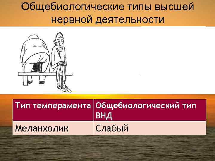 Общебиологические типы высшей нервной деятельности Тип темперамента Общебиологический тип ВНД Меланхолик Слабый 