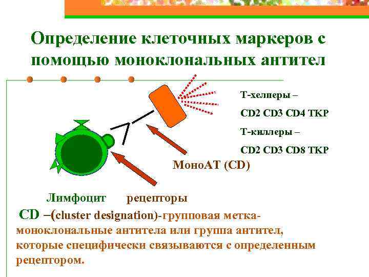 Определение клетки