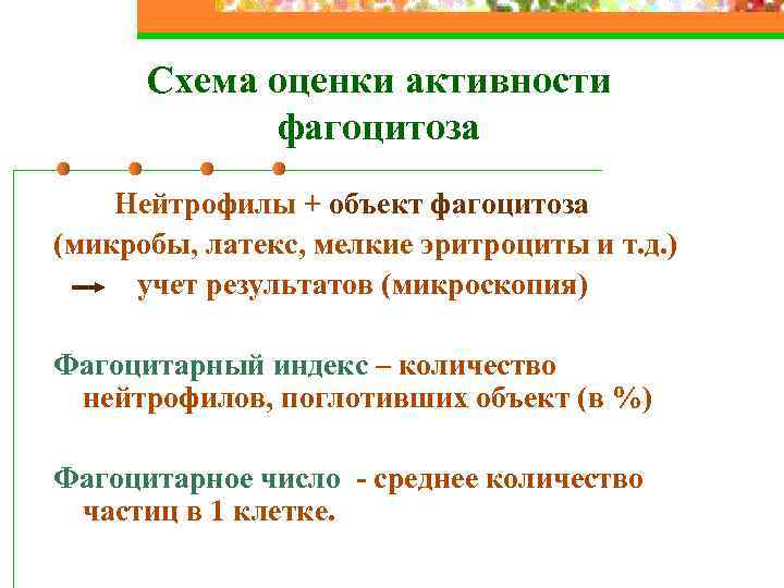 Схема оценки активности фагоцитоза Нейтрофилы + объект фагоцитоза (микробы, латекс, мелкие эритроциты и т.