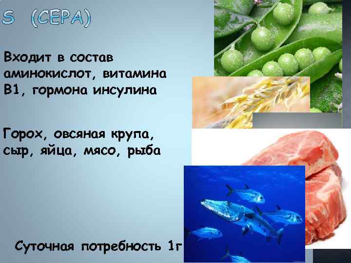 Входит в состав аминокислот, витамина В 1, гормона инсулина Горох, овсяная крупа, сыр, яйца,