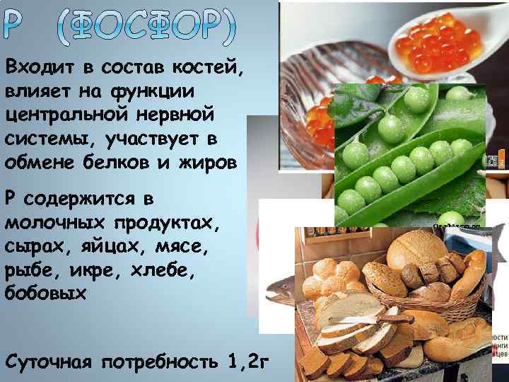 Входит в состав костей, влияет на функции центральной нервной системы, участвует в обмене белков