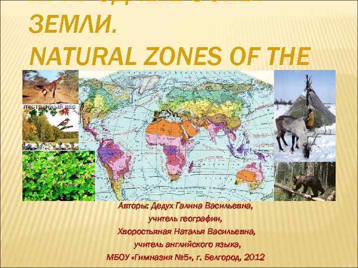 ПРИРОДНЫЕ ЗОНЫ ЗЕМЛИ. NATURAL ZONES OF THE EARTH. Авторы: Дедух Галина Васильевна, учитель географии,