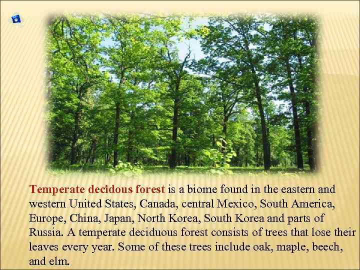 Temperate decidous forest is a biome found in the eastern and western United States,