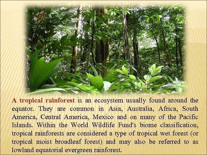 A tropical rainforest is an ecosystem usually found around the equator. They are common