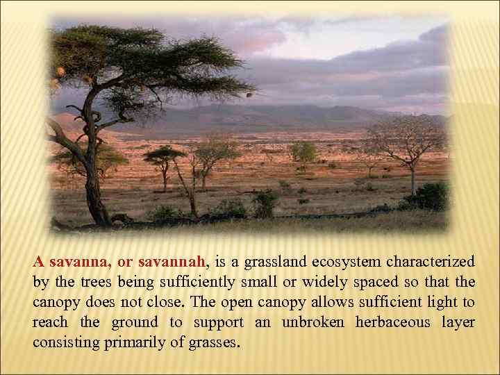 A savanna, or savannah, is a grassland ecosystem characterized by the trees being sufficiently