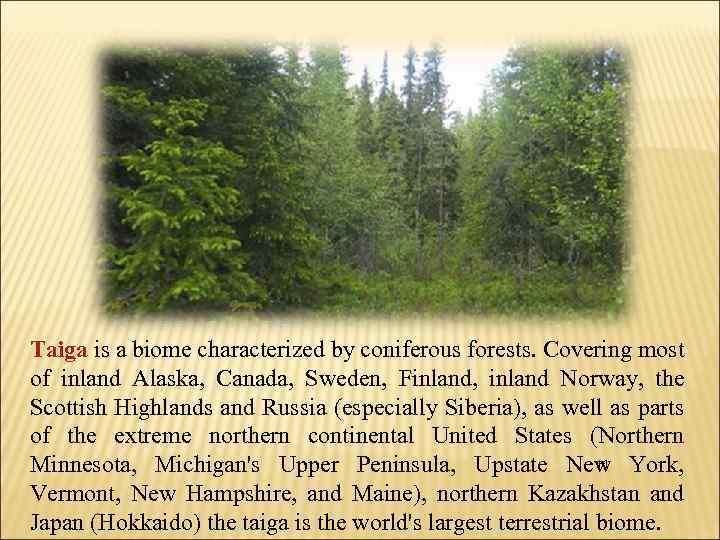 Taiga is a biome characterized by coniferous forests. Covering most of inland Alaska, Canada,