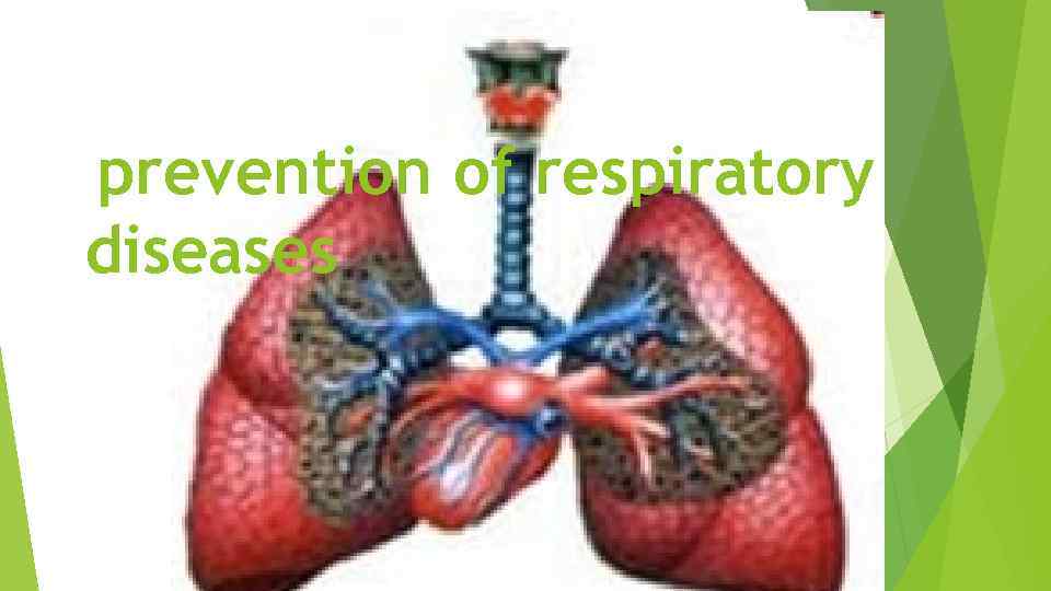 prevention of respiratory diseases 