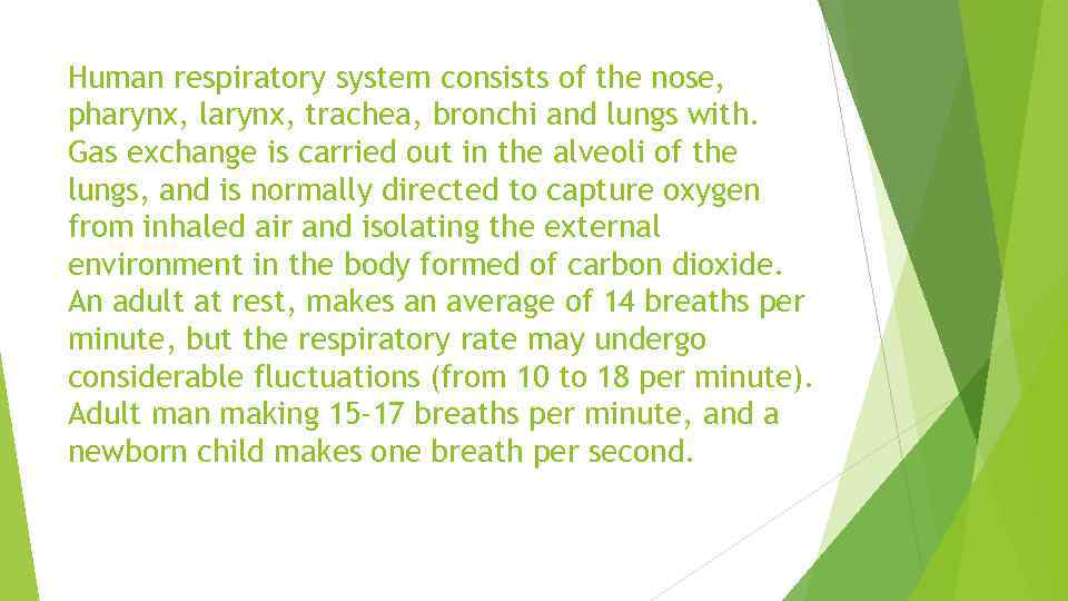 Human respiratory system consists of the nose, pharynx, larynx, trachea, bronchi and lungs with.