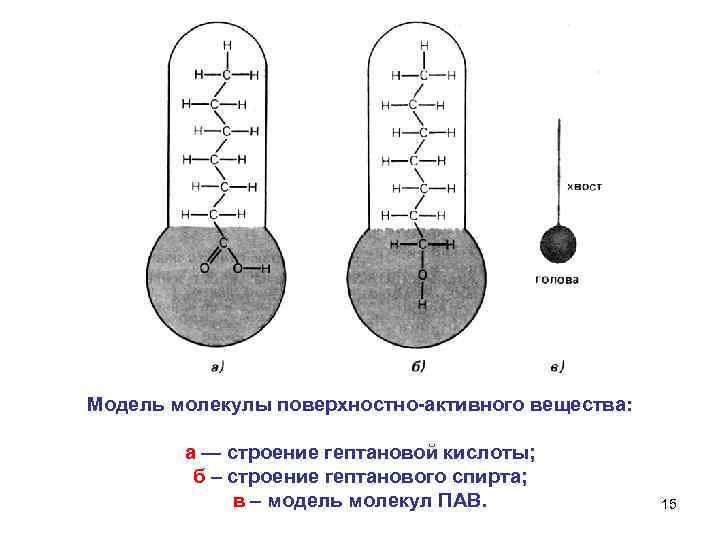 Модель молекулы поверхностно-активного вещества: а — строение гептановой кислоты; б – строение гептанового спирта;