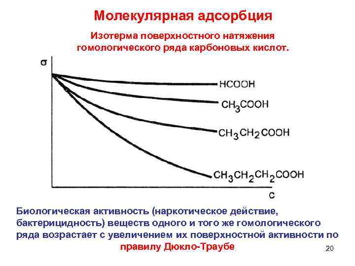 Молекулярная адсорбция Изотерма поверхностного натяжения гомологического ряда карбоновых кислот. Биологическая активность (наркотическое действие, бактерицидность)