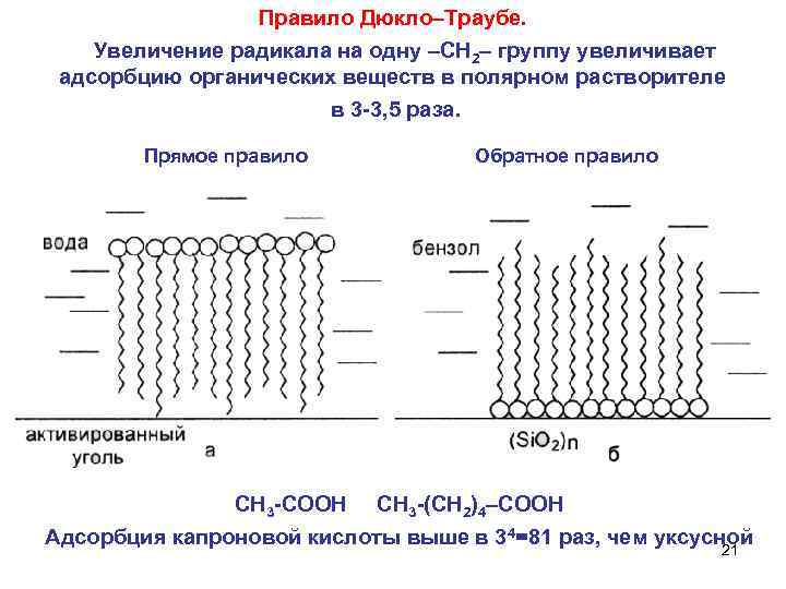 Правило Дюкло–Траубе. Увеличение радикала на одну –СН 2– группу увеличивает адсорбцию органических веществ в