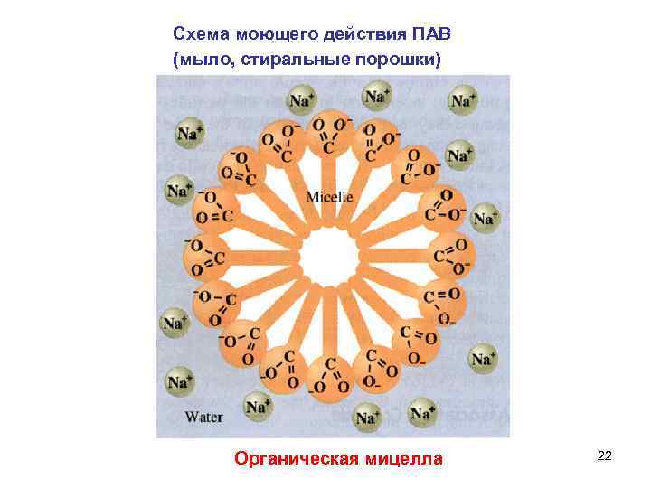 Схема моющего действия ПАВ (мыло, стиральные порошки) Органическая мицелла 22 