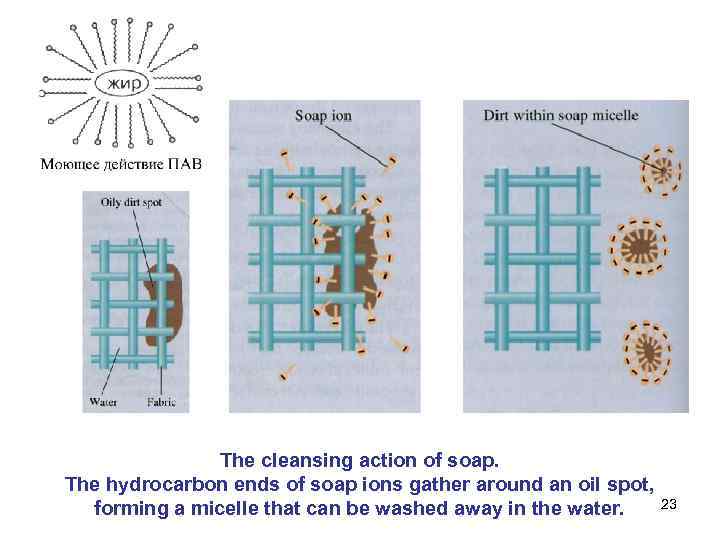 The cleansing action of sоap. The hydrocarbon ends of soap ions gather around an