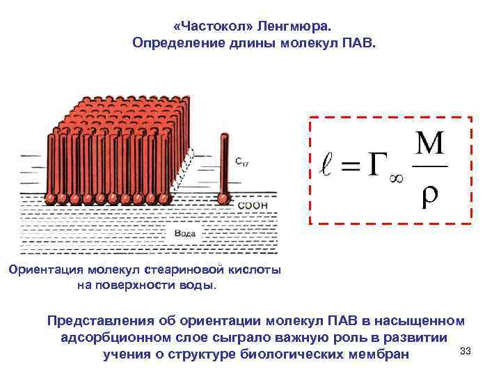  «Частокол» Ленгмюра. Определение длины молекул ПАВ. Ориентация молекул стеариновой кислоты на поверхности воды.