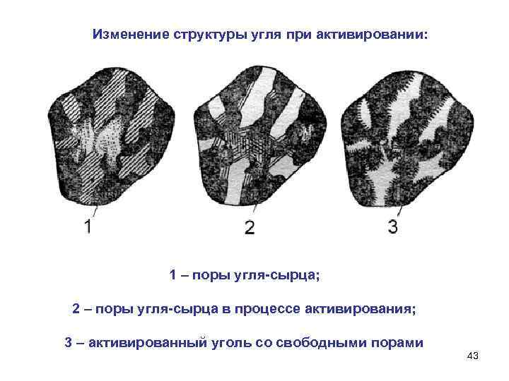 Изменение структуры угля при активировании: 1 – поры угля-сырца; 2 – поры угля-сырца в