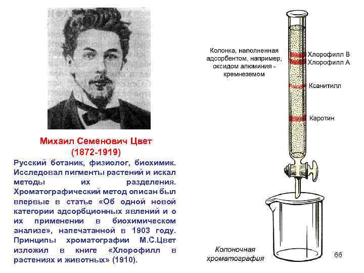 Михаил Семенович Цвет (1872 -1919) Русский ботаник, физиолог, биохимик. Исследовал пигменты растений и искал