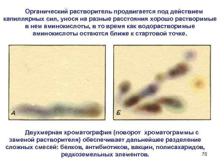  Органический растворитель продвигается под действием капиллярных сил, унося на разные расстояния хорошо растворимые