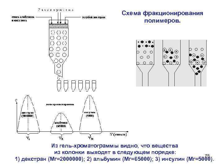 Схема фракционирования полимеров. Из гель-хроматограммы видно, что вещества из колонки выходят в следующем порядке: