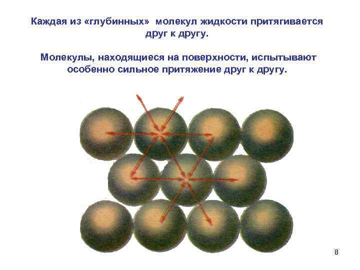 Каждая из «глубинных» молекул жидкости притягивается друг к другу. Молекулы, находящиеся на поверхности, испытывают