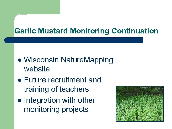 Garlic Mustard Monitoring Continuation Wisconsin Nature. Mapping website l Future recruitment and training of
