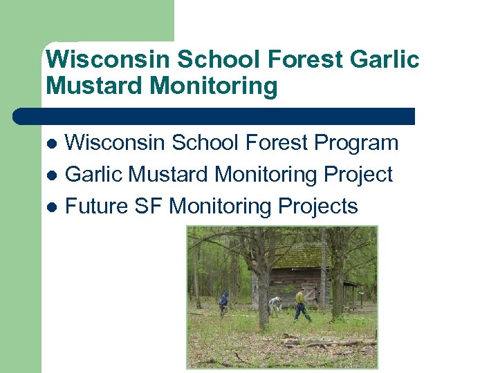 Wisconsin School Forest Garlic Mustard Monitoring Wisconsin School Forest Program l Garlic Mustard Monitoring